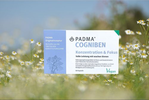 Padma Cogniben (koncentráció, fókusz)